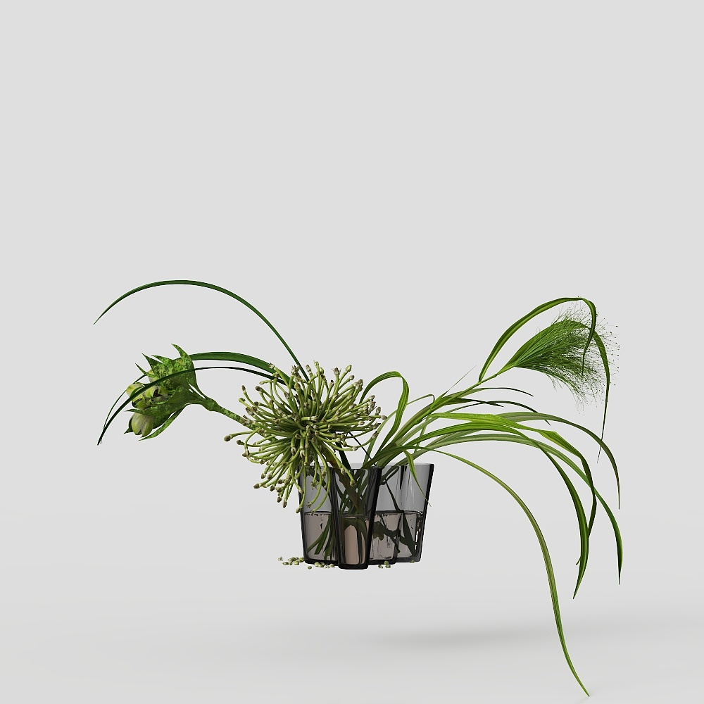 Modern Glass Vase Flowers