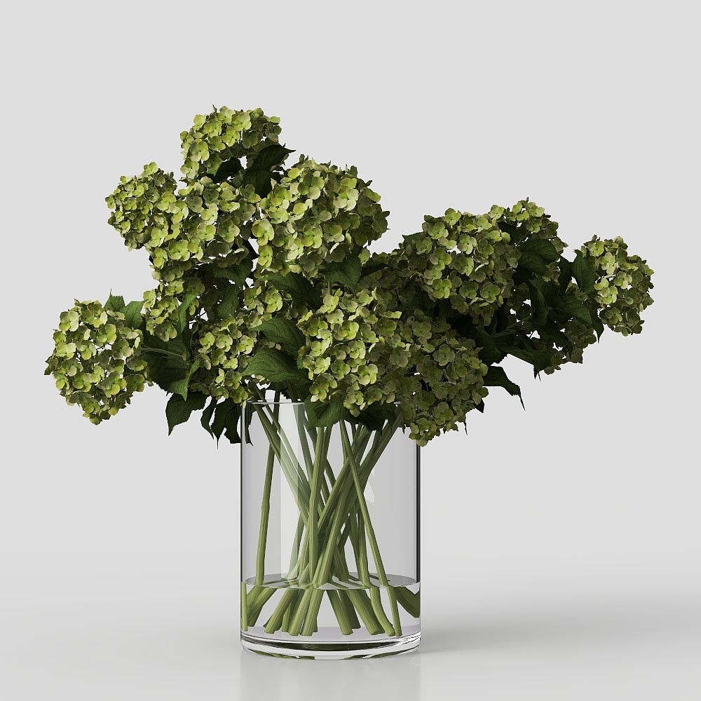 Modern Glass Vase Flower