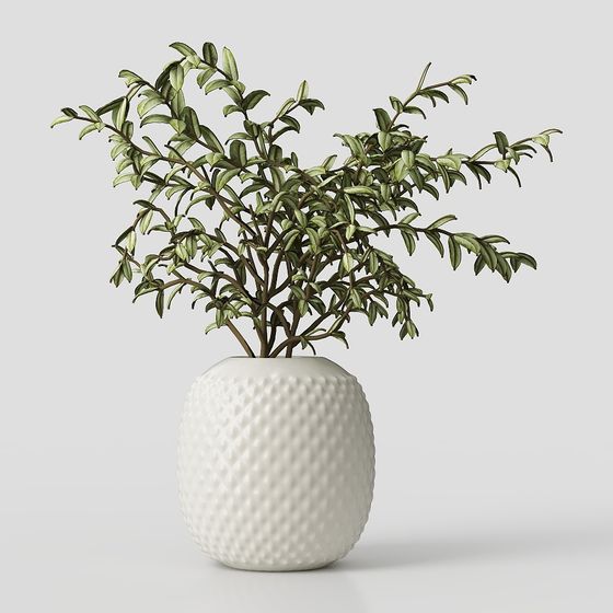 Low Poly Plant Pot 3D Model for Creative Projects