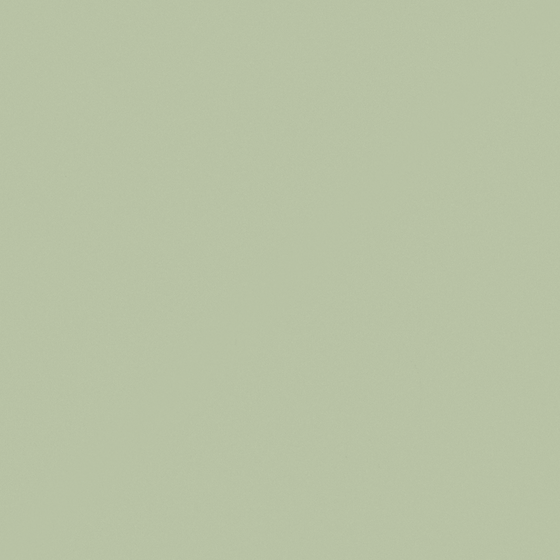 Mint Green Wall Paint in White