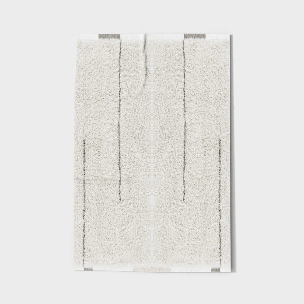 Modern Minimalist Long Plush Carpet