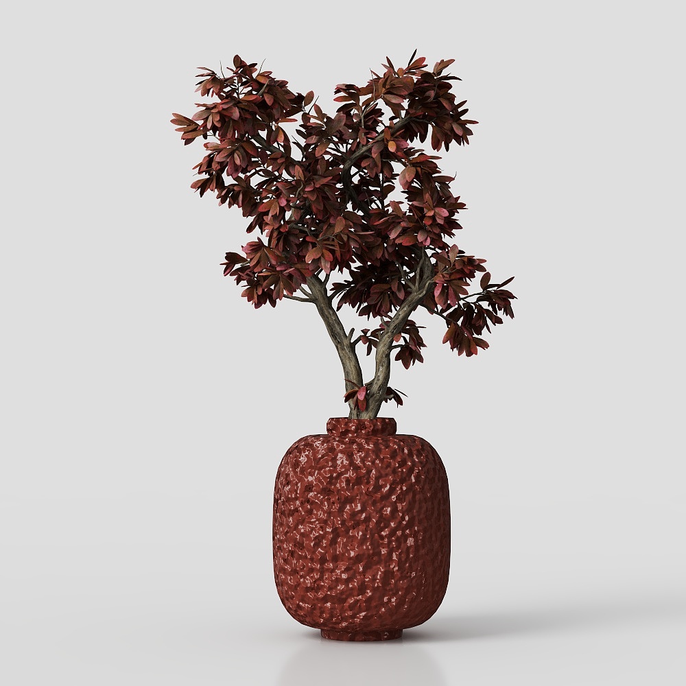 Cây xanh bình hiện đại