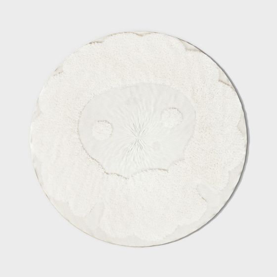 Snowdrop Carpet 3D Model