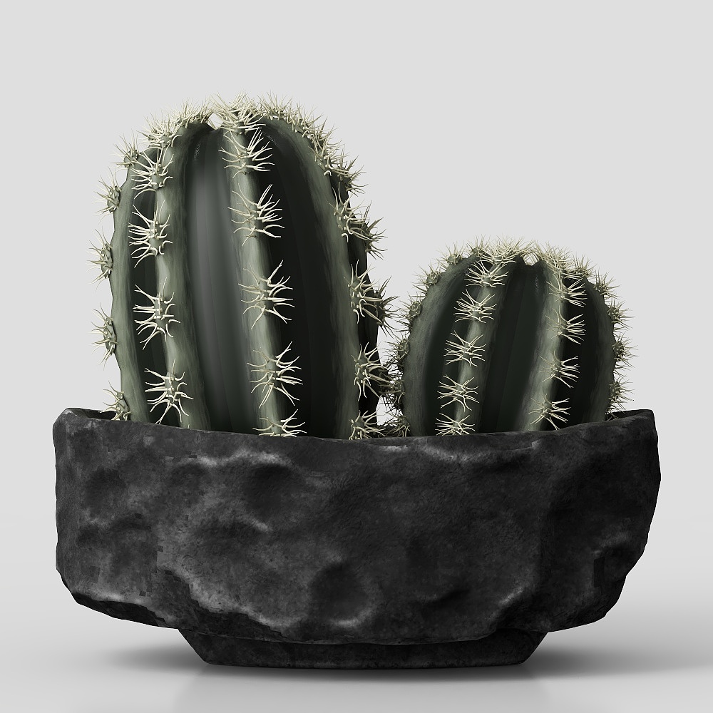 Realistic Low-Poly Cactus 3D model