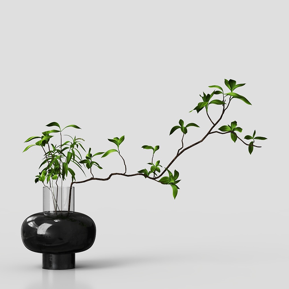 Modern Hydroponic Plants