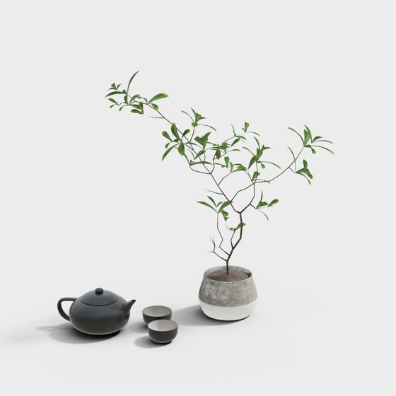 茶器アクセサリーディスプレイセット