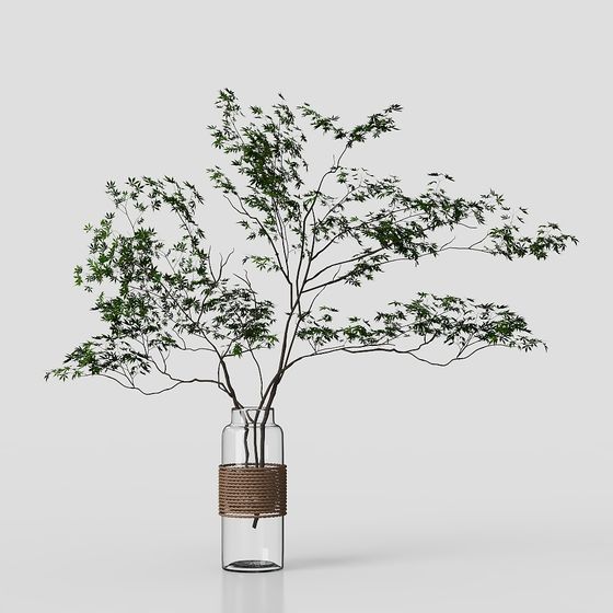 Vase en verre moderne avec plante verte