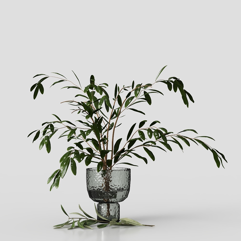 Современная стеклянная ваза с зеленым растением