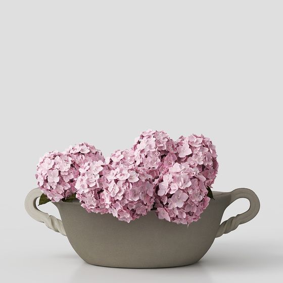 Piante in Vaso Moderne