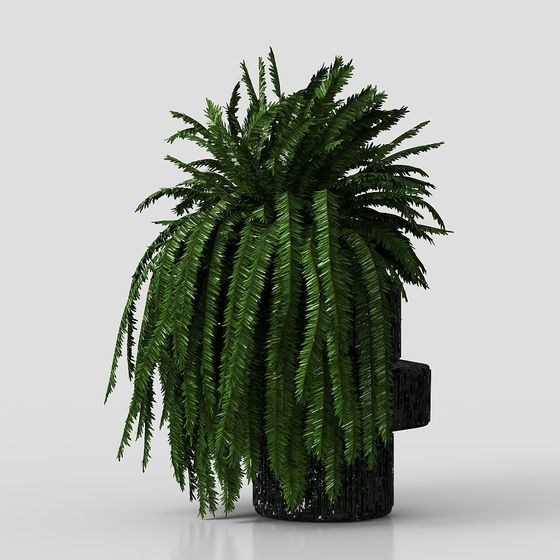 Stylish Low-Poly Fern 3D Model for Various Projects