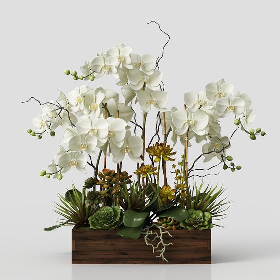 Elegant White Orchid 3D model in a Serene Garden