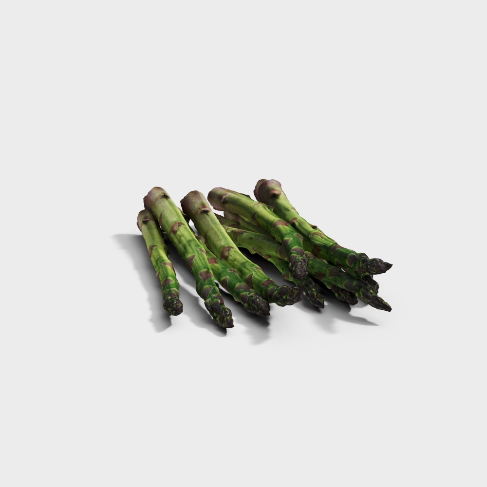 Realistic Fresh Asparagus 3D model