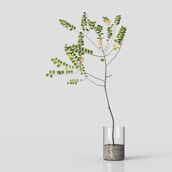 Nature's Rhyme 3D Model Plant for Creative Spaces