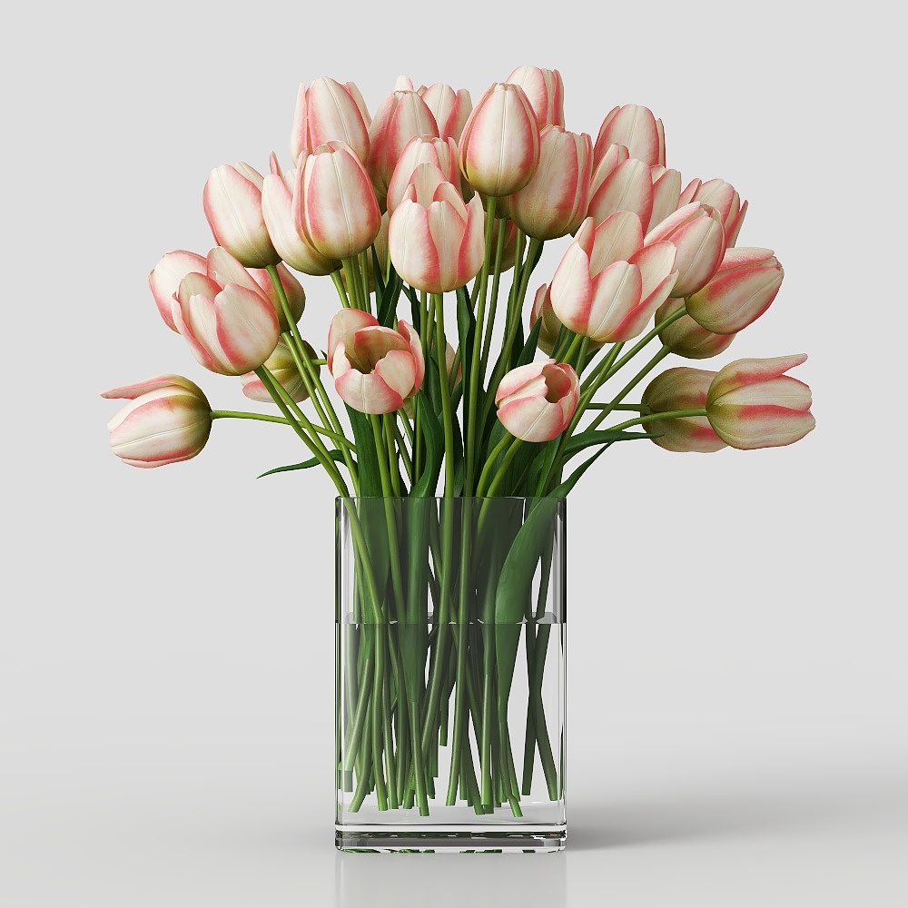 Modern Glass Vase Flower