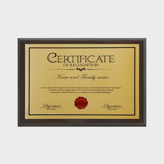 Elegant Honorary Certificate 3D model