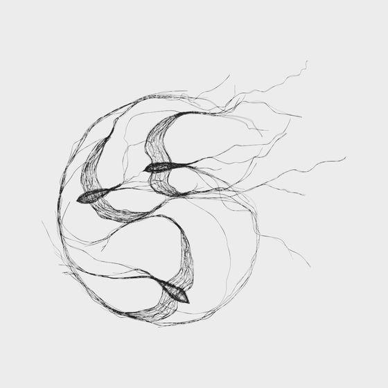 Flowing Wings 3D model