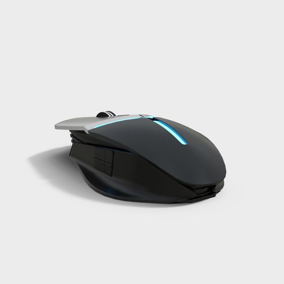 Mouse