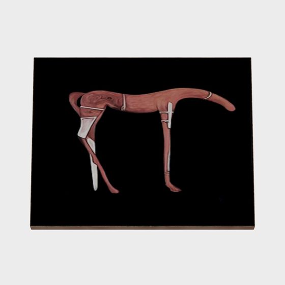 Dynamic Greyhound 3D Model for Creative Projects