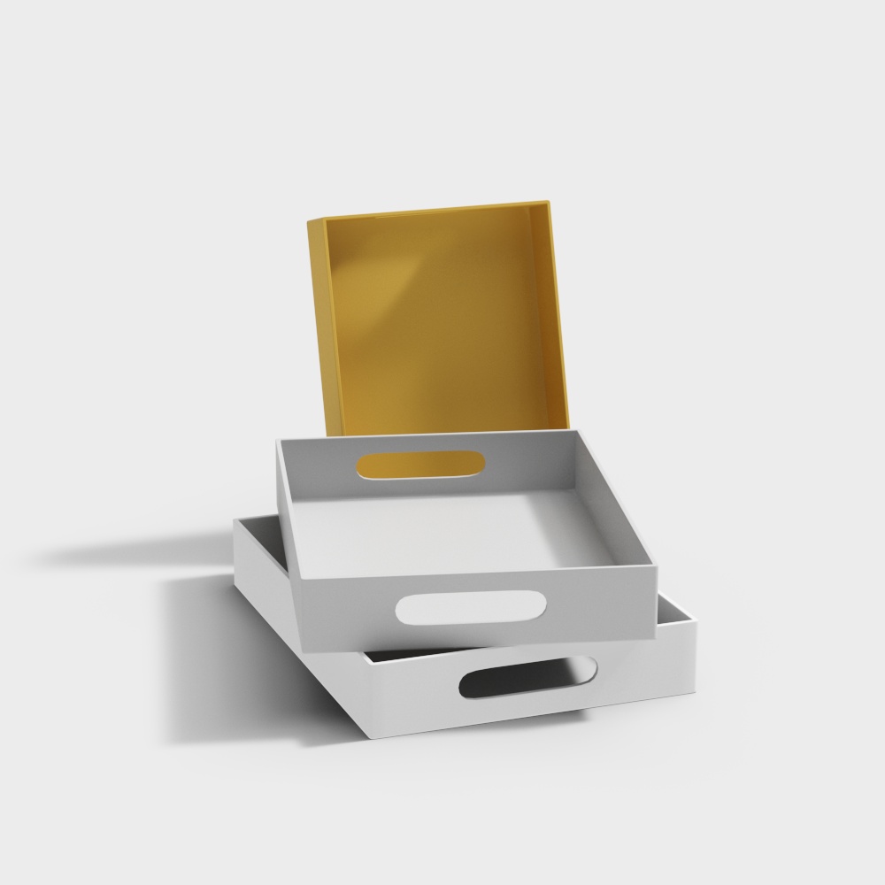 Scatola per la Conservazione di Documenti