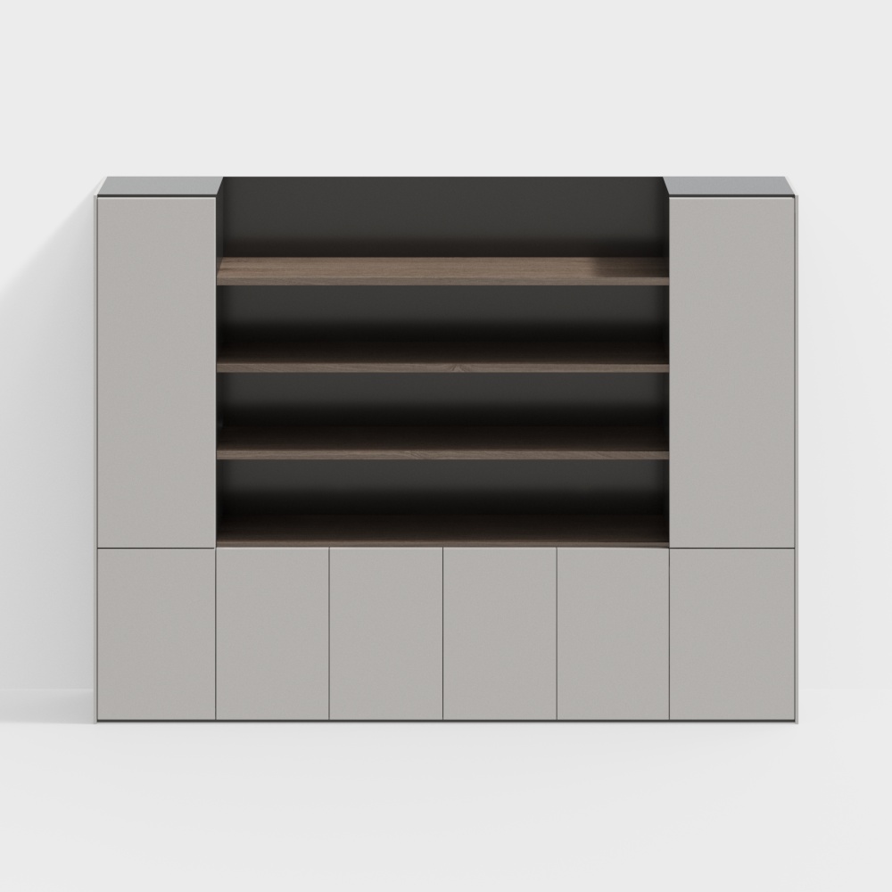 Modern Minimalist Bookshelf