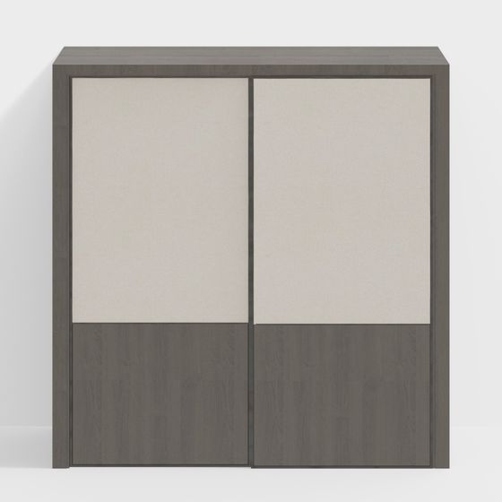 Modern Minimalist Sliding Door Closet