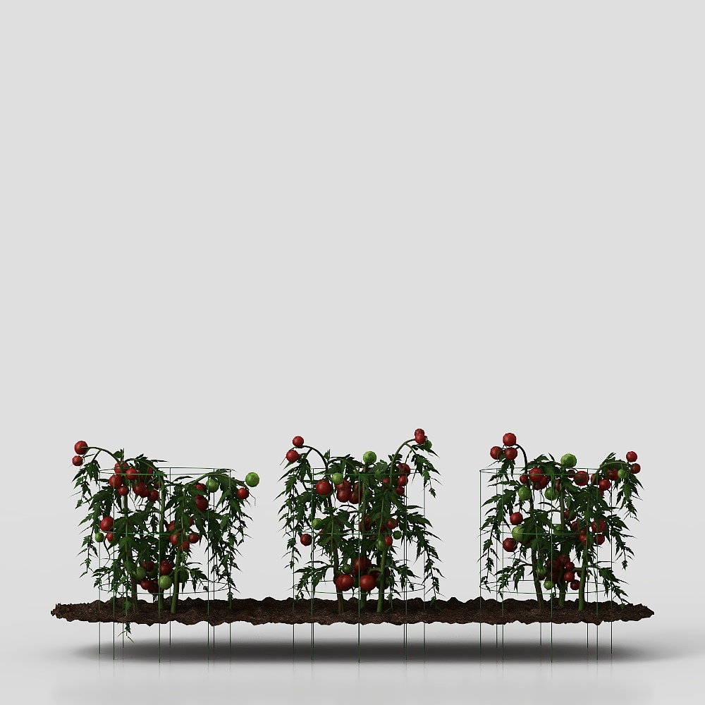 Gadget - Pomodoro Mini 3