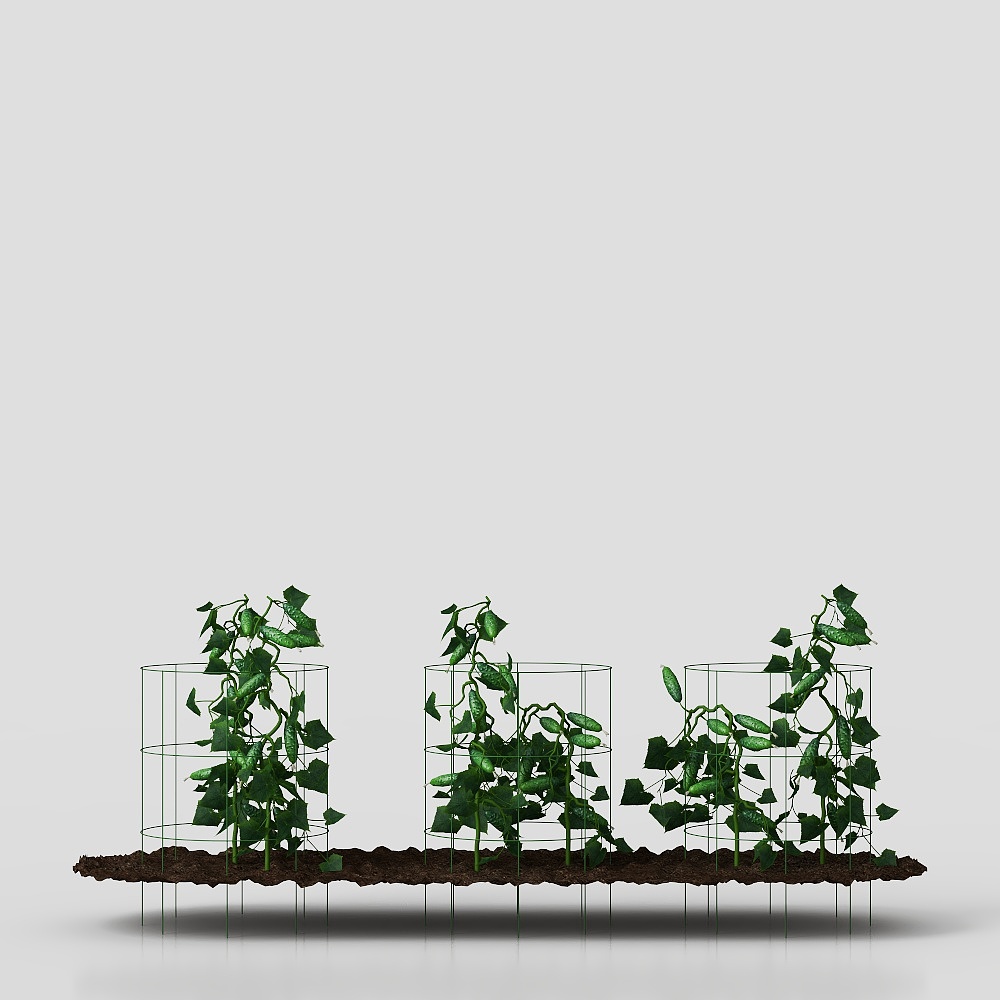 Climbing Plant Support 3D Model