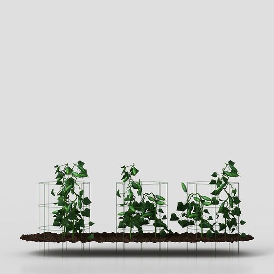 Climbing Plant Support 3D Model
