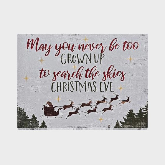 Festive Christmas Flight 3D model