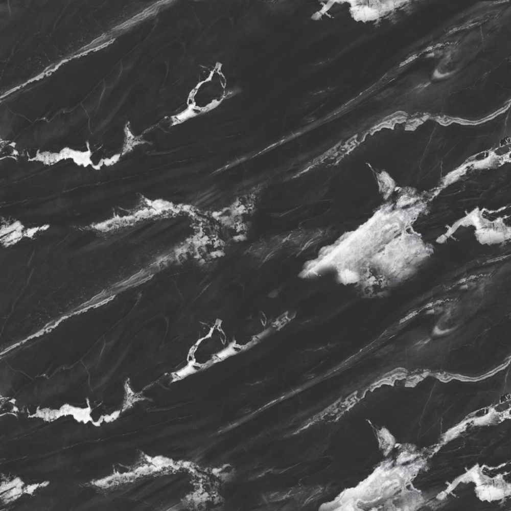 Black and White Flowers