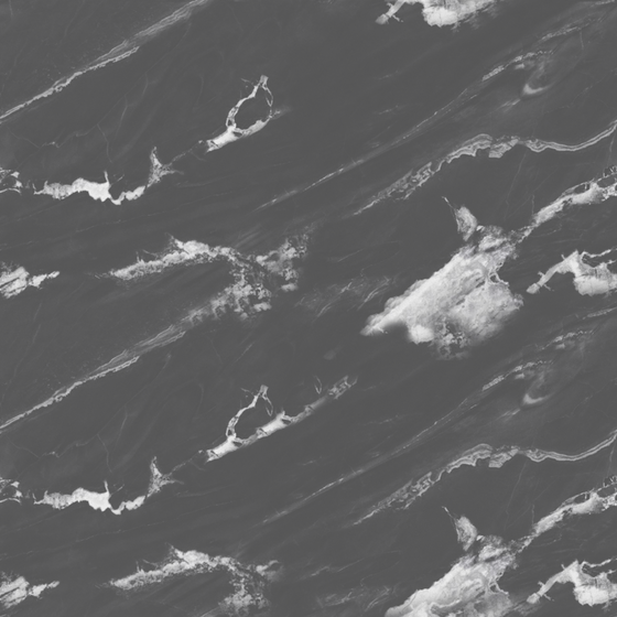 Black and White Flowers Pattern 3D Model