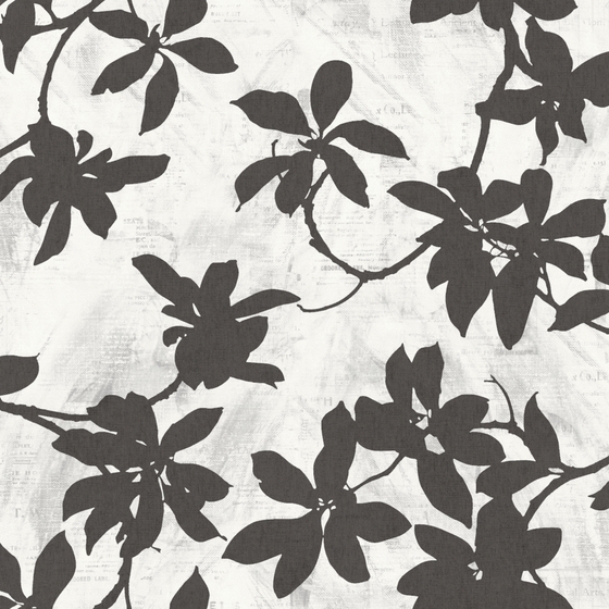 Modern Plant Print Wallpaper 3D Model 1000x1000 in Black