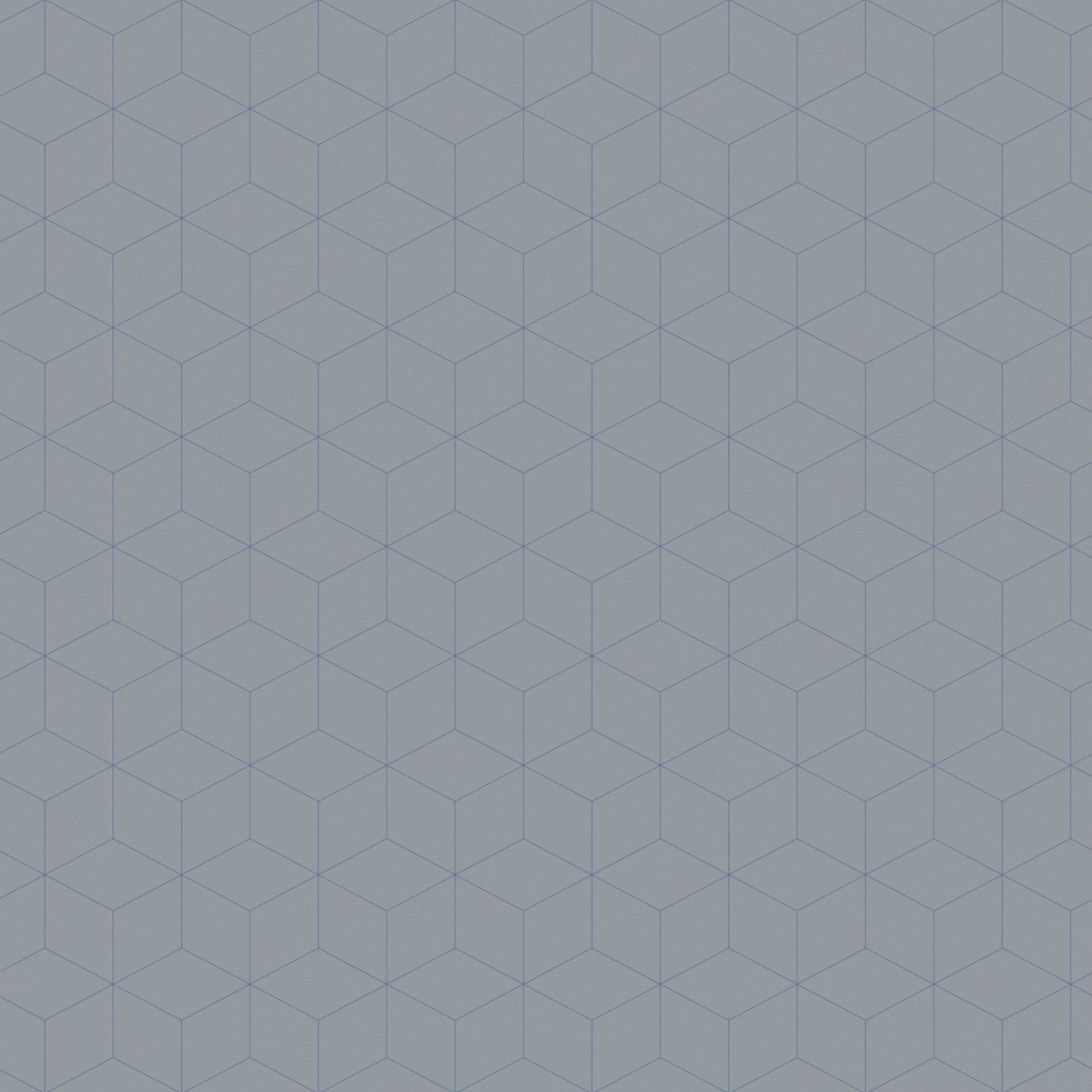 Modern Light Gray Geometric Texture Wallpaper 1000*1000