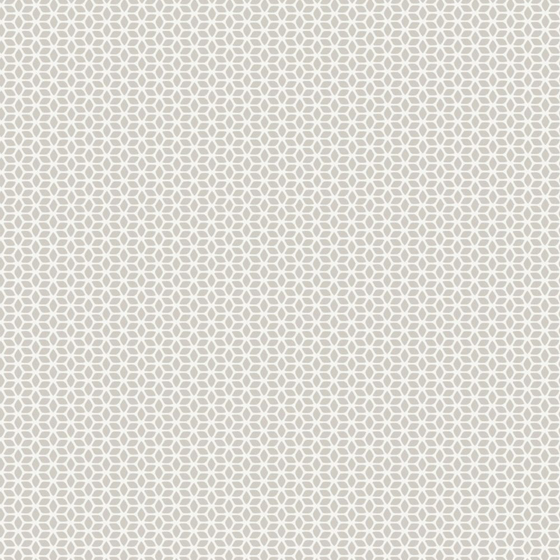 Modern Light-Colored Geometric Texture Wallpaper 800x800
