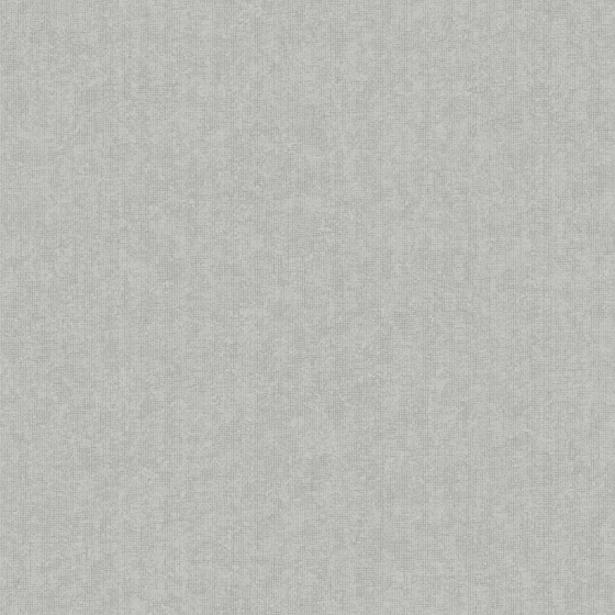 Modern Light Gray Micro-Cement Wallpaper 3D Model 800*800