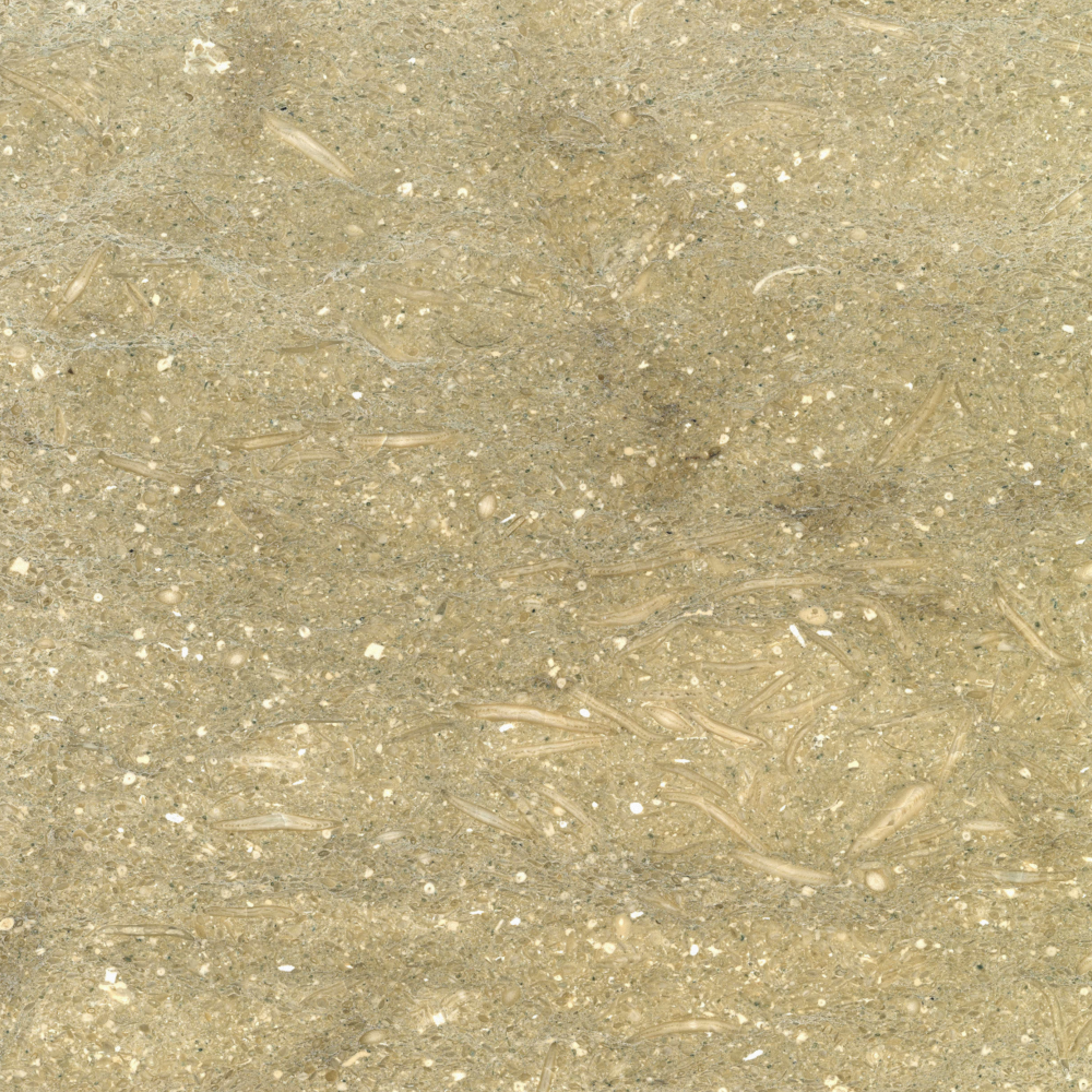 Turkish Beige Marble 800x800