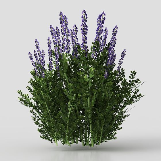 Vibrant Violet 3D Model for Creative Designs