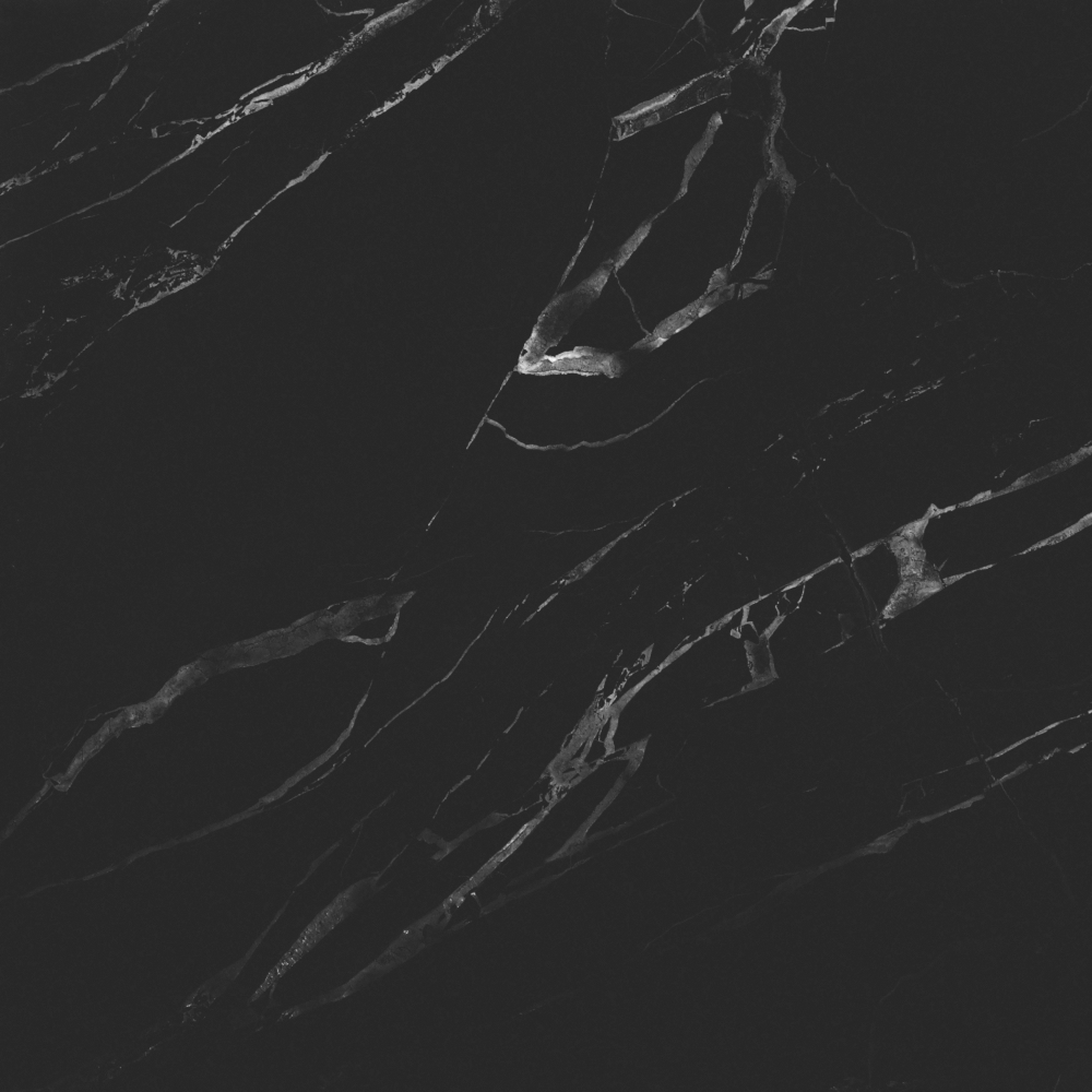 Black Gold Flower White Vein Marble 800*800