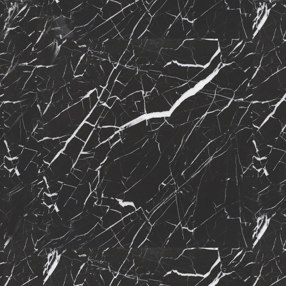 Black and White Silver Marble Tile 3D Model