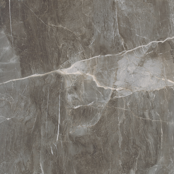 Fantasy Grey Marble 3D Model for Flooring