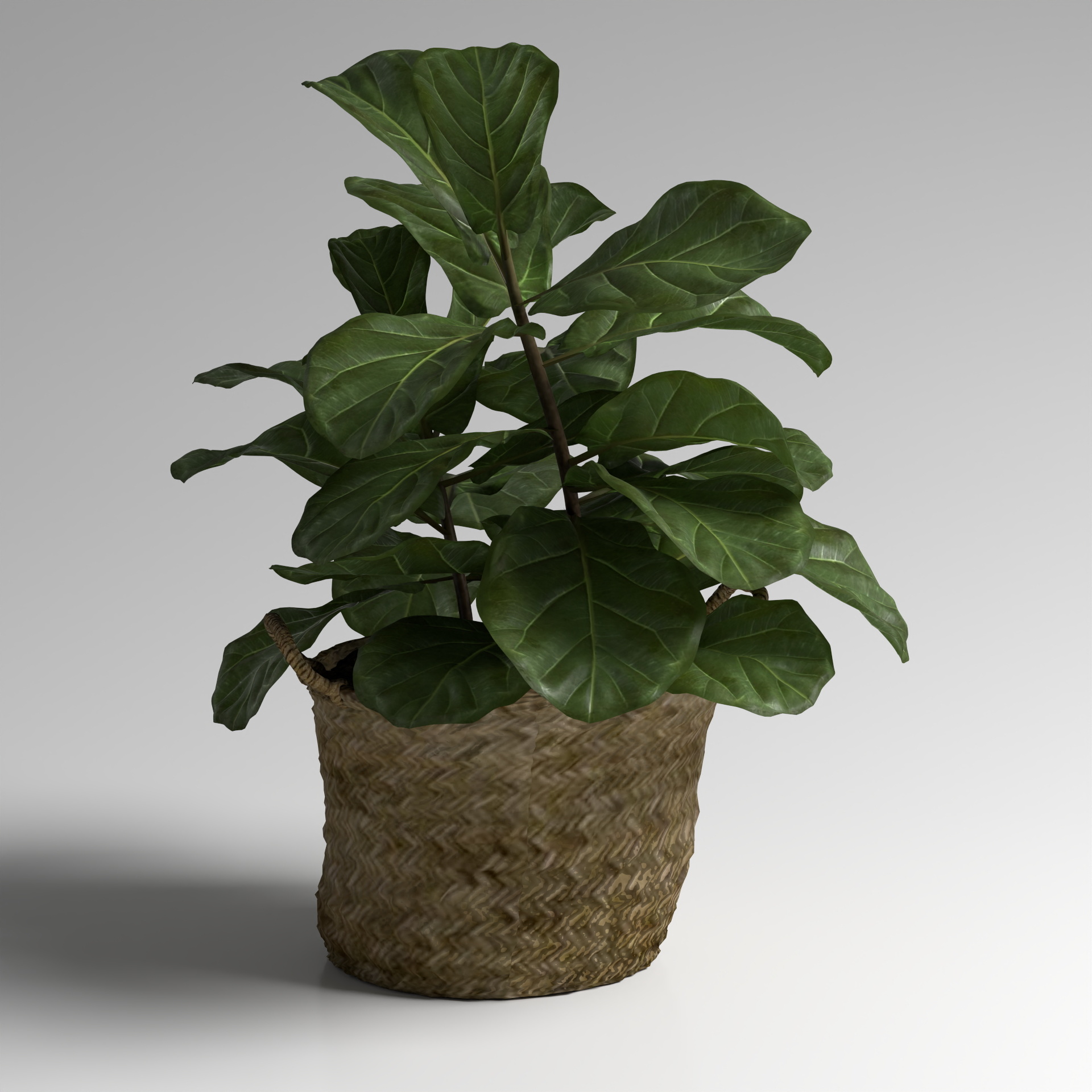 Flower-Potted Plant HUAPEN3-WT0372 3D Model in Green