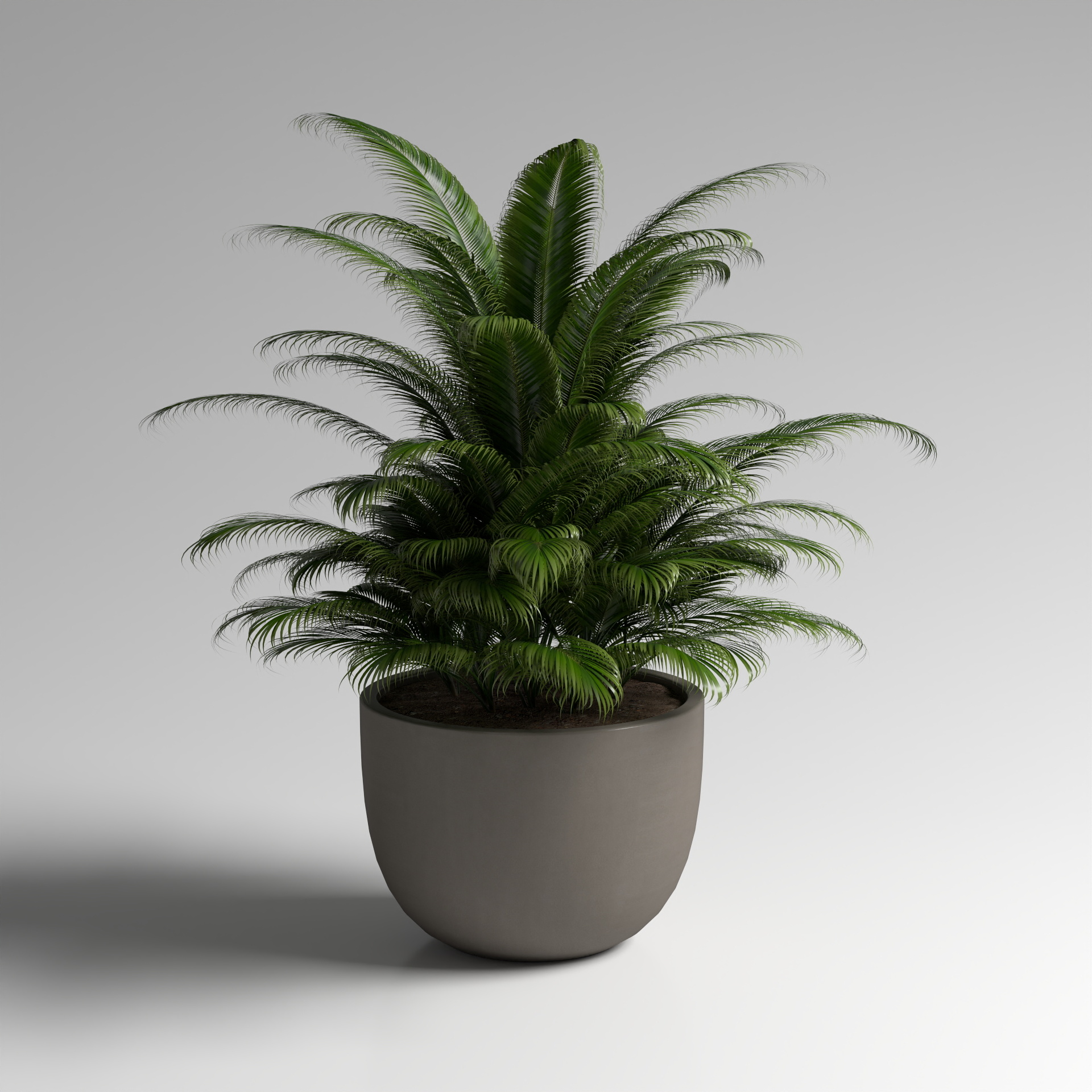 Flower Pot Planting Huapen 3D Model for Natural Decor