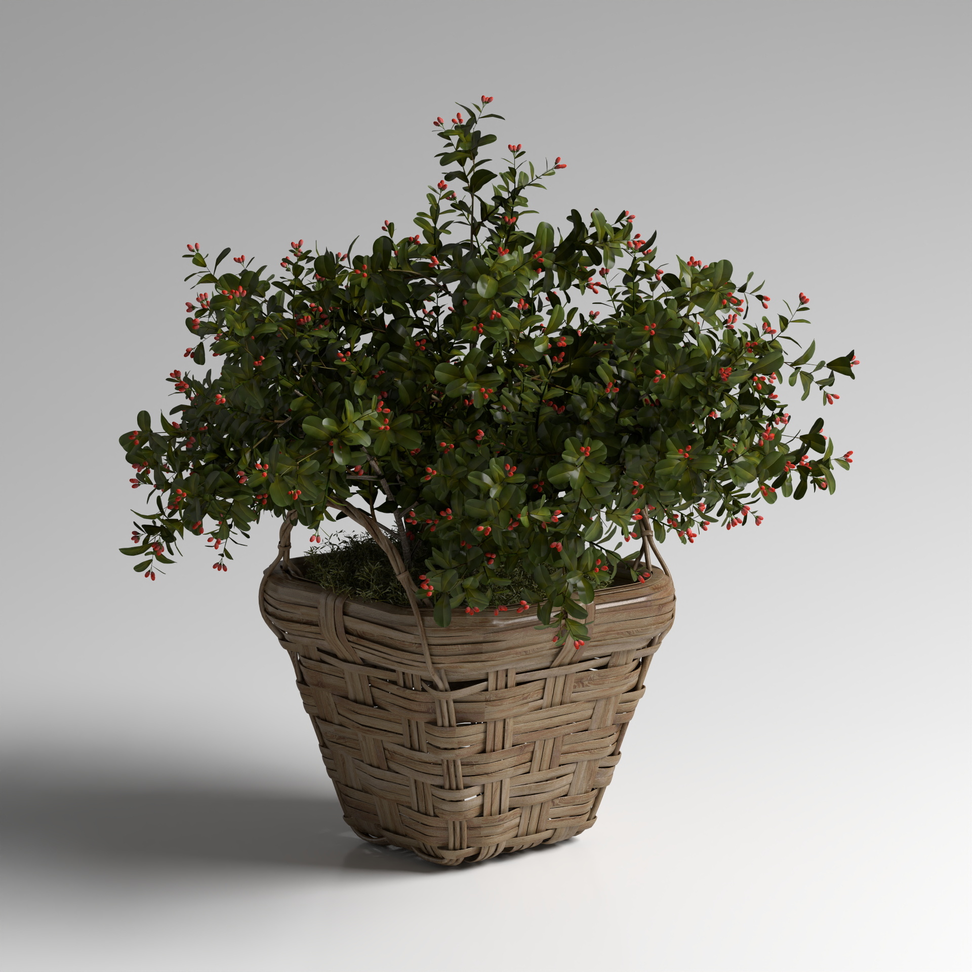 Flower Pot Planting Group