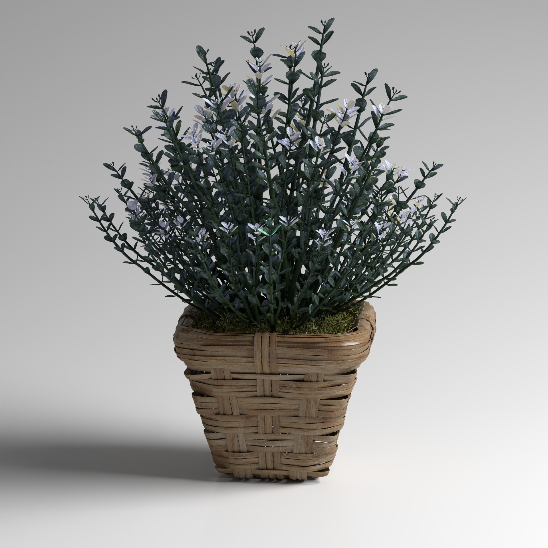 Flower Pot Planting Group