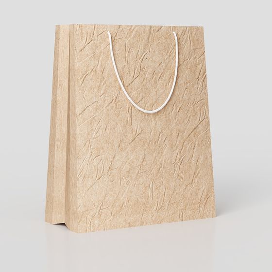 Recycled Paper Bag 3D model