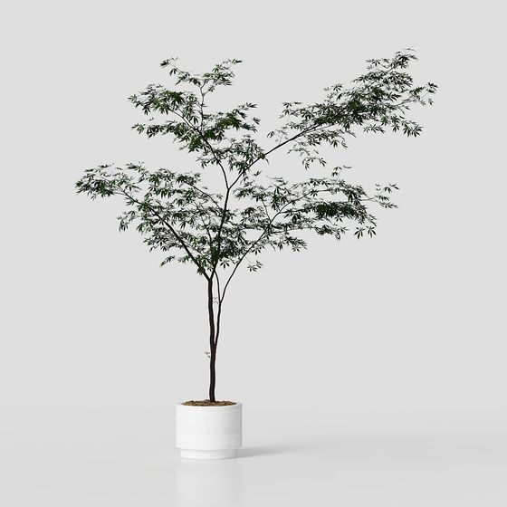 Lush Potted Plant 3D Model