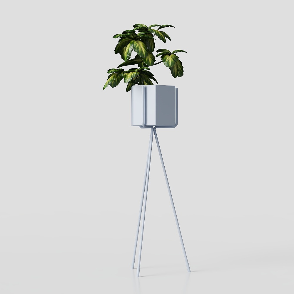 Modern Minimalist Green Plants