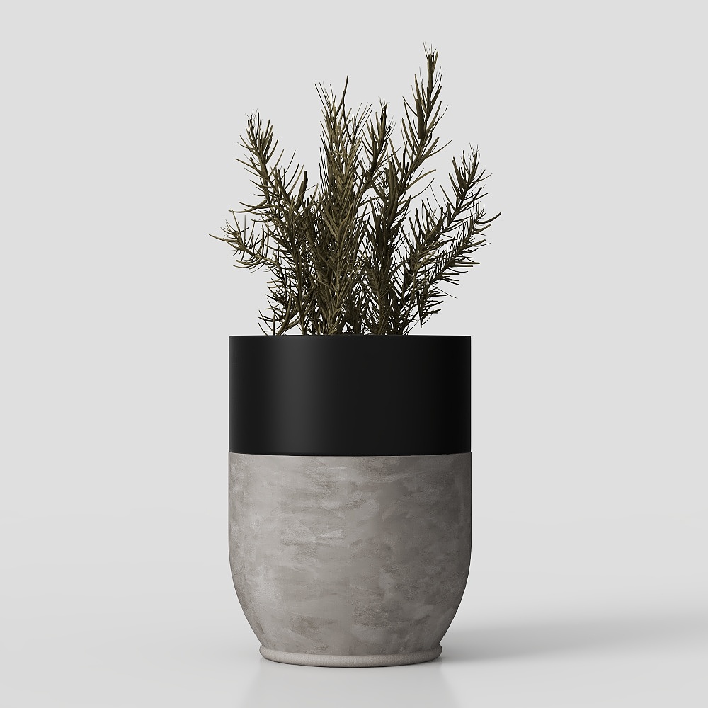 Cây xanh cổ điển