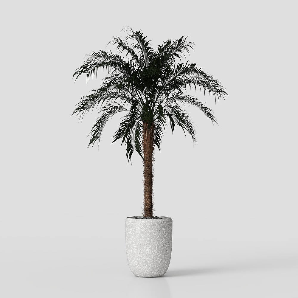 Modern Minimalist Green Plants