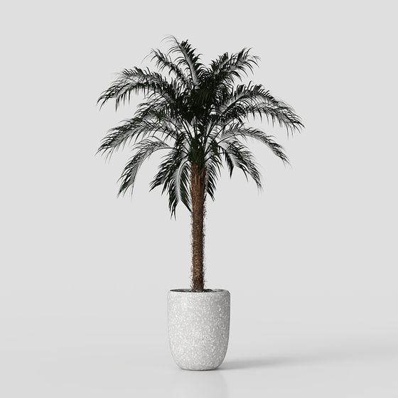Realistic Palm Tree 3D Model for Tropical Designs